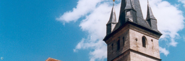 Ahorn