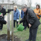 Der Baum wird angegossen