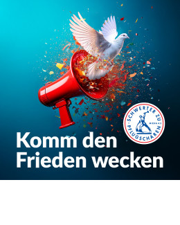 Insta Sharepic Friedensdekade